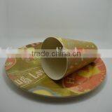 BSCI Audit Hot-sell Bamboo Fiber Dinner Set (BC-CS1008) thumbnail-2