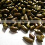 High Quality Cassia Tora Seed thumbnail-2