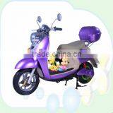 2 Wheel Electric Recreational Vehicle