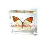 Sell Lucite Paperweights With A Real Butterfly Inside