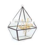 terrarium glass geometric terrarium indoor plants with ring