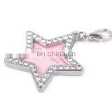 Bone Shape Metal Diamond Dog Tag /dog Name Tag thumbnail-3