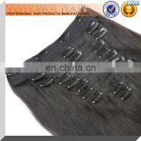 Top Quality Clip in Remy Human Hair Extensions Straight for Women's Beauty Hairsalon in Fashion