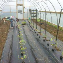 Cloth Weeds Fabric Plastic Garden Plant Ground Cover Cloth Weeding Barrier Landscape Fabric thumbnail-4