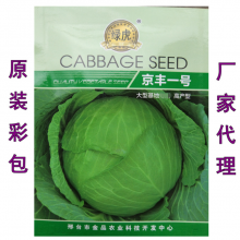200pcs NON-GMO High Germination Green Red Cabbage Seeds Packet for Planting thumbnail-1