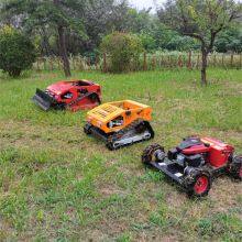 Remote Control Lawn Mower China Manufacturer Factory Supplier Wholesaler thumbnail-1