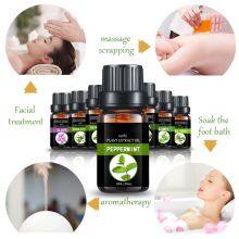 Natural Essential Oil Manufacturer Peppermint Oil for Pharma and Cosmetic Raw Material thumbnail-5