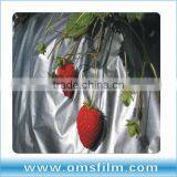 Silver on Black Mulch Film, Silver Mylar Film thumbnail-1
