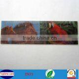 High Quality Hot Sell 3D Ruler thumbnail-1