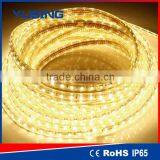 High Brightness Blue 220V SMD 5050 High Voltage LED Strip 60 LEDs/Meter