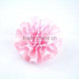 Customized Carnations Bulk Flowers thumbnail-3