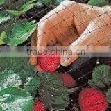 Anti Bird Net(professional Factory,reasonable Price With High Quality)