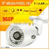 Supporting OSD IP66 CCTV Camera With 2 Megapixel