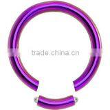 12 Gauge Purple Anodized Titanium Segment Ring