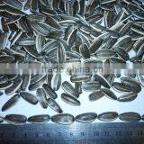 2015 New Chinese Wholesale Sunflower Seed thumbnail-4