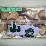 good price of shiitake mushroom recipes