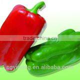 High yield fruits sweet color pepper seeds Angus F1