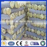 Hot Dipped Galvanized 11 Gauge Wire Chain Link Fence thumbnail-4