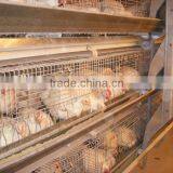 9LCDr-3168 Automatic H-type Battery Chicken Cage thumbnail-2
