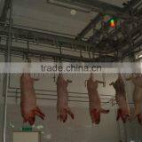 High Automatic Complete Pig Abattoir thumbnail-3