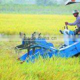 Paddy Combine Harvester-Cosechadora-Colheitadeira-Moissonneuse-batteuse