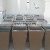 Flower and Tree Pot thumbnail-2