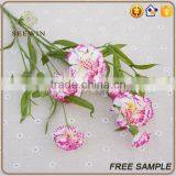 Colorful Carnation Artificial Flowers Long Stem thumbnail-5