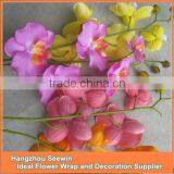 Orchid Flower thumbnail-1