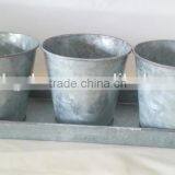 Galvanized Flower Pots Set 3pcs in Tray/ Herb Tray thumbnail-1