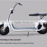 2017 Factory Supply Hot Sale Citycoco With Hydraulic Brake Disc ELECTRIC MOTORCYCLES thumbnail-1