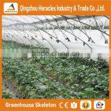 Heracles Trade Saaurance Greenhouse Plastic Cover -uv Treated Plastic Film for Greenhouse Agricultural thumbnail-2