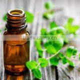Mint Oil thumbnail-3