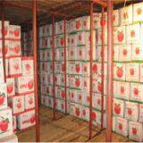 Cold Room Cold Storage for Meat and Fruit thumbnail-3
