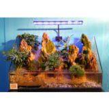HLW60-04 Aquarium Landscaping for Home thumbnail-1