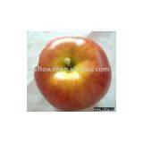 Artificial Fruit-craft Fruit thumbnail-1