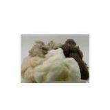 Cashmere Fibre, Camel Hair, Yak Down thumbnail-1