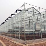Tempered Glass Covering Greenhouse with Hot-Dip Galvanized Steel Structure