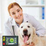 Veterinary Laser Equipment To Help Speed Overall Healing / Inflammation , Mobility Issues