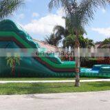 Home Use Green Wave Water Slides Kids and Adult Inflatable Large Water Slide With Pool thumbnail-3