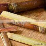 Fresh Sweet Sugar Cane From Vietnam