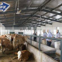 Construction design steel structure warehouse cow poultry shed barns