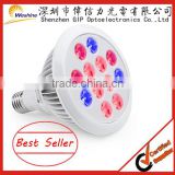 E27 12W Red Blue LED Plant Lamp/LED Grow Light Bulb