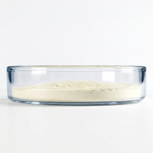 High Activity Freeze-dried Lactobacillus Plantarum Powder Food Grade Bulk Probiotics for Gut Health Supplements & Food Industry thumbnail-5