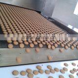 Automatic Hard Biscuit Line