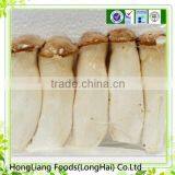 Good Price of King Oyster Mushroom thumbnail-1