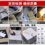 SV 220V IP65 2835Flexible Rope LED Strip WHITE Party Xmas Lamp BLUE 220V2835 156LEDS/M thumbnail-4