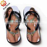 Lucky Bamboo ( Dracaena Sanderiana) Cage Shape Arragement thumbnail-1