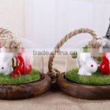 Personalized China Gift Items Mini Garden Trend Christmas Gift 2015 , Japan Gift Shop thumbnail-4