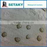 polycarboxylate superplasticizer (water reducer) for dry-mixing mortar (waterproof)- concrete addtives
