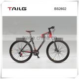 china tailg smart relaxing sports 36V moped electric bicycle for sale